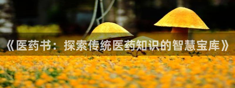 九游会j9官网