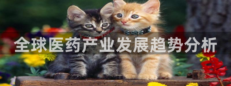 j9九游会在线登录