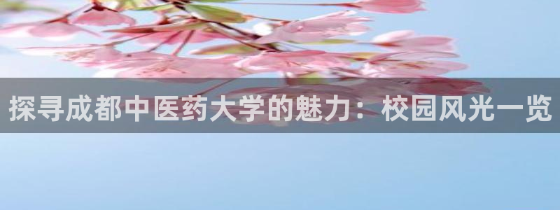 j9九游会登录