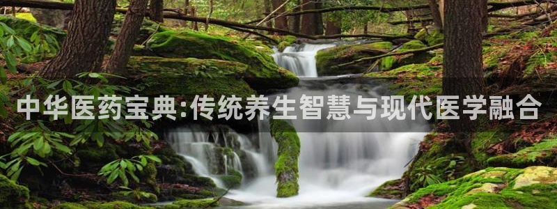 九游会j9官方网站