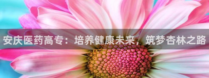 九游会手机版登录