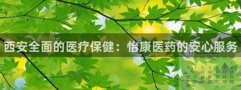 九游会平台登录不上