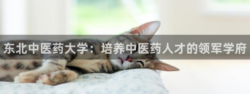 J9九游会ag