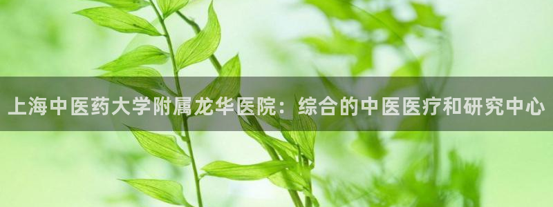 九游会网址登录不上