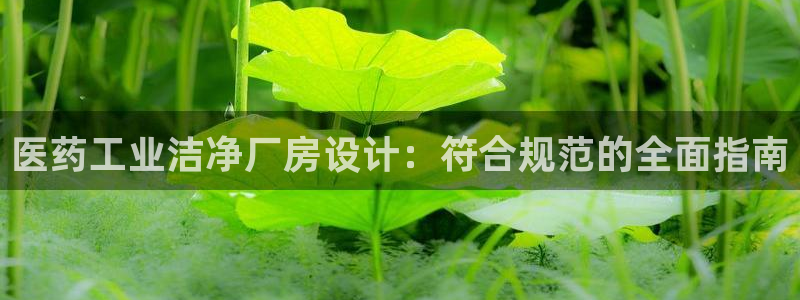 ag九游会app下载版官网正版
