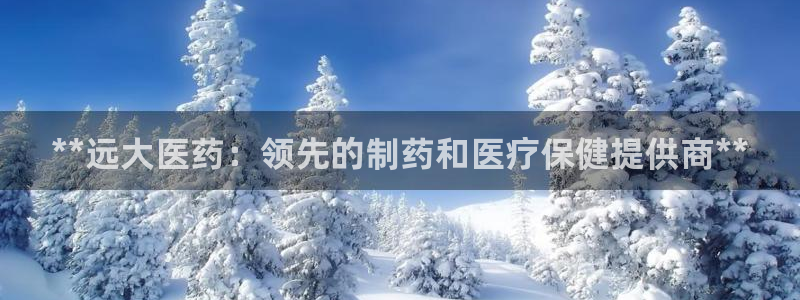 ag九游会登录网站