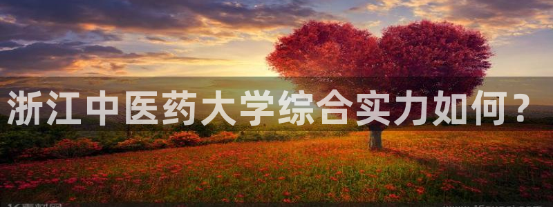j9九游会官方登录