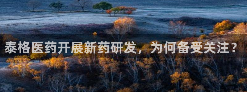 九游会ag登入