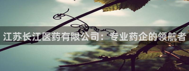 J9九游会官网-真人游戏第一品牌