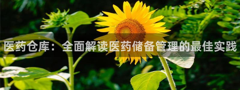 ag九游网