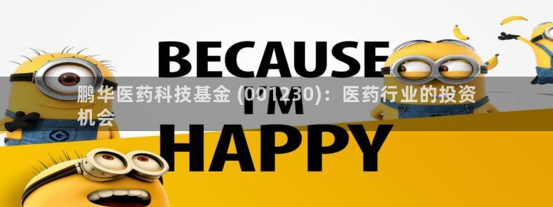 ag久游会：鹏华医药