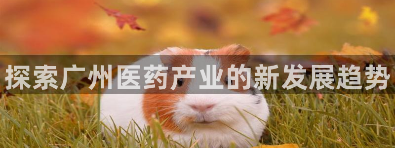 j9九游会平台