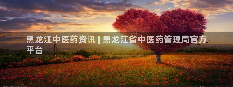9游会app