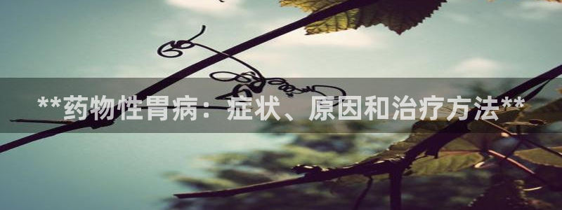 九游会国际厅