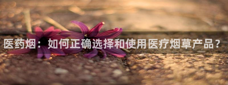 九游会官网开会