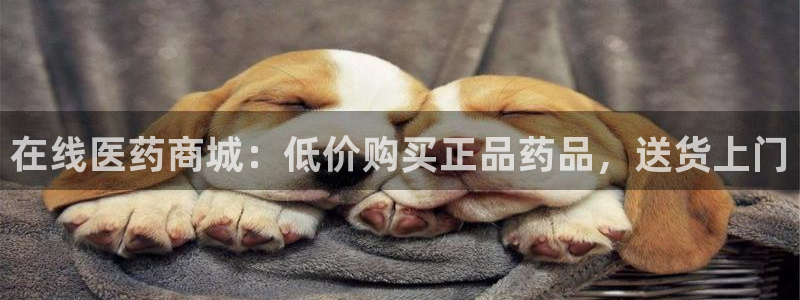 九游会网址大全