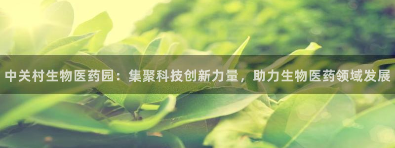 ag8九游会登入