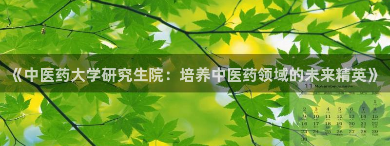 ag老玩家